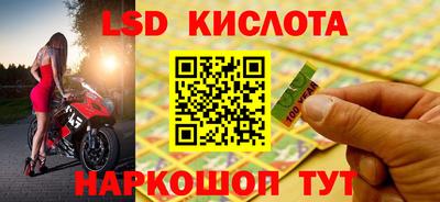 СК Краснодар